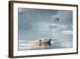 Polar Bear, Svalbard, Norway-Paul Souders-Framed Photographic Print