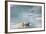 Polar Bear, Svalbard, Norway-Paul Souders-Framed Photographic Print