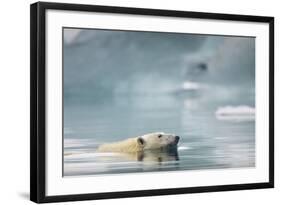 Polar Bear, Svalbard, Norway-Paul Souders-Framed Photographic Print