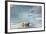 Polar Bear, Svalbard, Norway-Paul Souders-Framed Photographic Print