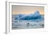 Polar Bear, Svalbard, Norway-Paul Souders-Framed Photographic Print