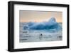 Polar Bear, Svalbard, Norway-Paul Souders-Framed Photographic Print