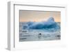 Polar Bear, Svalbard, Norway-Paul Souders-Framed Photographic Print