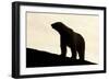 Polar Bear, Svalbard, Norway-null-Framed Photographic Print