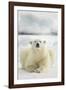 Polar Bear, Svalbard, Norway-null-Framed Photographic Print