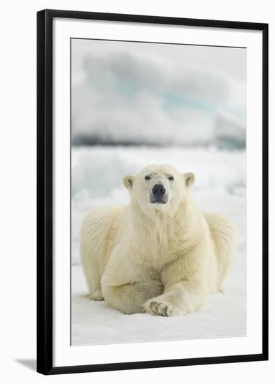 Polar Bear, Svalbard, Norway-null-Framed Photographic Print