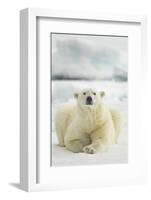 Polar Bear, Svalbard, Norway-null-Framed Photographic Print