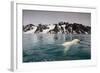 Polar Bear, Svalbard, Norway-null-Framed Photographic Print