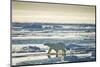 Polar Bear, Svalbard, Norway-null-Mounted Photographic Print