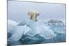 Polar Bear, Svalbard, Norway-null-Mounted Photographic Print