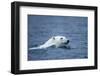 Polar Bear, Svalbard, Norway-Paul Souders-Framed Photographic Print