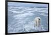 Polar Bear, Svalbard, Norway-Paul Souders-Framed Photographic Print