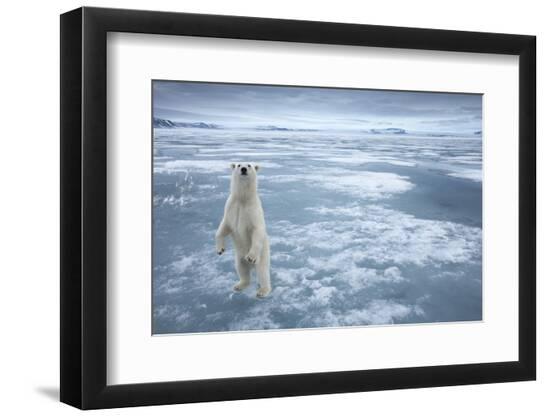 Premium Photographic Print, , large