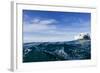 Polar Bear Swimming by Harbour Islands, Nunavut, Canada-Paul Souders-Framed Photographic Print