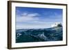 Polar Bear Swimming by Harbour Islands, Nunavut, Canada-Paul Souders-Framed Photographic Print