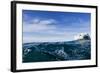 Polar Bear Swimming by Harbour Islands, Nunavut, Canada-Paul Souders-Framed Photographic Print