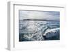 Polar Bear Swimming by Harbour Islands, Nunavut, Canada-Paul Souders-Framed Photographic Print