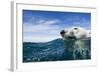 Polar Bear Swimming by Harbour Islands, Nunavut, Canada-Paul Souders-Framed Photographic Print