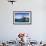 Polar Bear Swimming by Harbour Islands, Nunavut, Canada-Paul Souders-Framed Photographic Print displayed on a wall