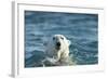 Polar Bear Swimming in Hudson Bay, Nunavut, Canada-Paul Souders-Framed Photographic Print