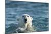 Polar Bear Swimming in Hudson Bay, Nunavut, Canada-Paul Souders-Mounted Photographic Print