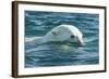 Polar Bear Swimming in Hudson Bay, Nunavut, Canada-Paul Souders-Framed Photographic Print