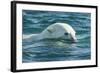 Polar Bear Swimming in Hudson Bay, Nunavut, Canada-Paul Souders-Framed Photographic Print