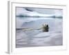 Polar Bear Swimming in Svalbard Islands-Paul Souders-Framed Photographic Print