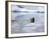 Polar Bear Swimming in Svalbard Islands-Paul Souders-Framed Photographic Print