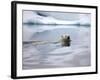 Polar Bear Swimming in Svalbard Islands-Paul Souders-Framed Photographic Print