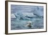 Polar Bear Swimming Near Melting Iceberg Near Harbor Islands,Canada-Paul Souders-Framed Photographic Print