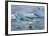 Polar Bear Swimming Near Melting Iceberg Near Harbor Islands,Canada-Paul Souders-Framed Photographic Print