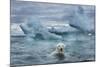 Polar Bear Swimming Near Melting Iceberg Near Harbor Islands,Canada-Paul Souders-Mounted Photographic Print