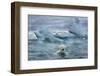 Polar Bear Swimming Near Melting Iceberg Near Harbor Islands,Canada-Paul Souders-Framed Photographic Print