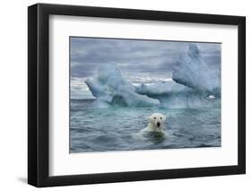 Polar Bear Swimming Near Melting Iceberg Near Harbor Islands,Canada-Paul Souders-Framed Photographic Print