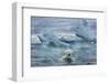 Polar Bear Swimming Near Melting Iceberg Near Harbor Islands,Canada-Paul Souders-Framed Photographic Print