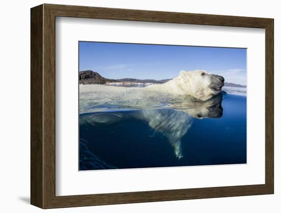 Polar Bear Swimming, Nunavut, Canada-Paul Souders-Framed Photographic Print