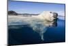 Polar Bear Swimming, Nunavut, Canada-Paul Souders-Mounted Photographic Print