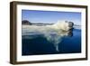 Polar Bear Swimming, Nunavut, Canada-Paul Souders-Framed Photographic Print