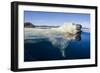 Polar Bear Swimming, Nunavut, Canada-Paul Souders-Framed Photographic Print