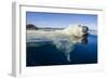 Polar Bear Swimming, Nunavut, Canada-Paul Souders-Framed Photographic Print