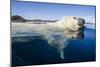 Polar Bear Swimming, Nunavut, Canada-Paul Souders-Mounted Photographic Print