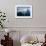 Polar Bear Swimming, Nunavut, Canada-Paul Souders-Framed Photographic Print displayed on a wall