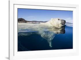 Polar Bear Swimming, Nunavut, Canada-Paul Souders-Framed Photographic Print