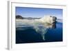 Polar Bear Swimming, Nunavut, Canada-Paul Souders-Framed Photographic Print