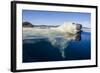 Polar Bear Swimming, Nunavut, Canada-Paul Souders-Framed Photographic Print