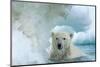 Polar Bear Swimming Through Melting Sea Ice Near Harbor Islands,Canada-Paul Souders-Mounted Photographic Print