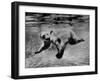 Polar Bear Swimming Underwater at London Zoo-Terence Spencer-Framed Photographic Print