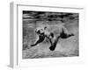 Polar Bear Swimming Underwater at London Zoo-Terence Spencer-Framed Photographic Print