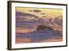 Polar Bear (Thalarctus maritimus) Lying in snow, sunrise-Terry Andrewartha-Framed Photographic Print